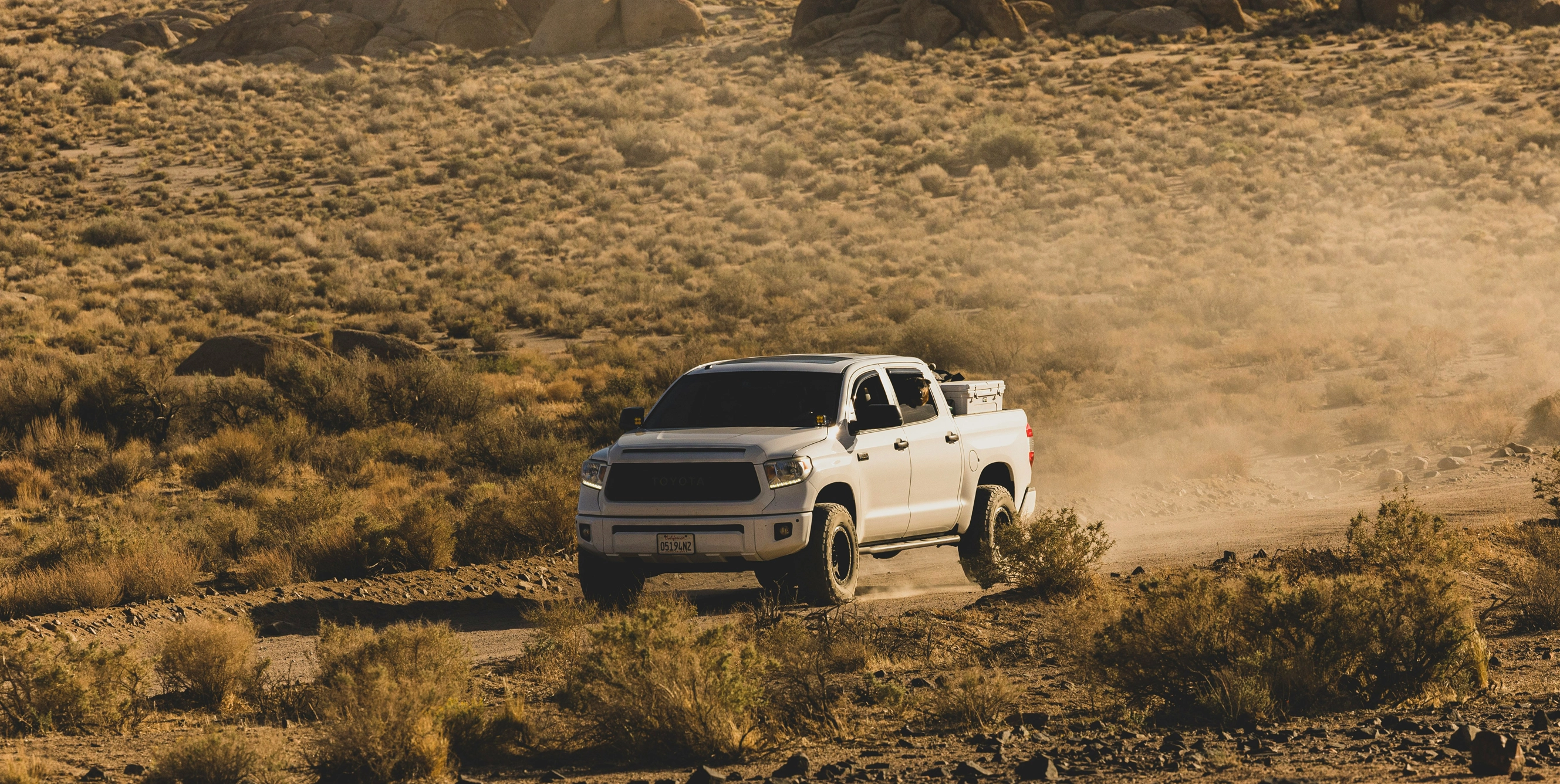 Amplitude - Nos services