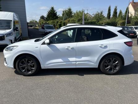 FORD Kuga 2.5 Duratec 190ch FHEV ST-Line Business BVA à vendre à Orléans - Image n°8