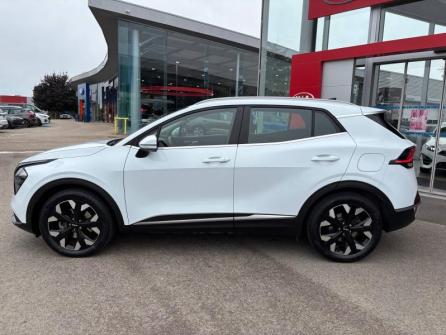 KIA Sportage 1.6 T-GDi 265ch PHEV  Active BVA6 4x4 à vendre à Auxerre - Image n°8