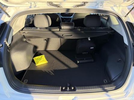 KIA Niro 1.6 GDi 105ch ISG + Plug-In 60.5ch Active DCT6 MY22 à vendre à Troyes - Image n°12